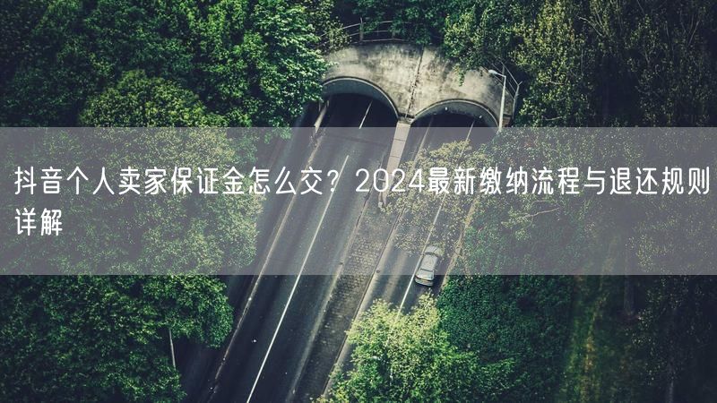 抖音个人卖家保证金怎么交？2024最新缴纳流程与退还规则详解