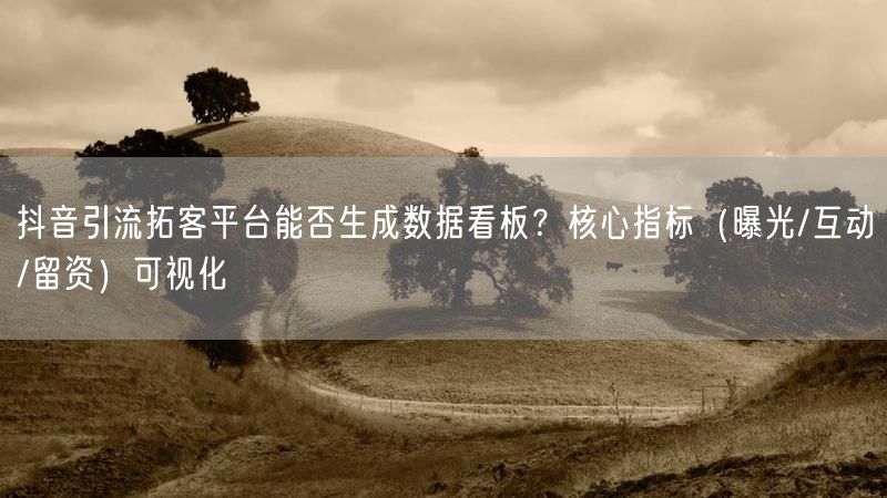 抖音引流拓客平台能否生成数据看板？核心指标（曝光/互动/留资