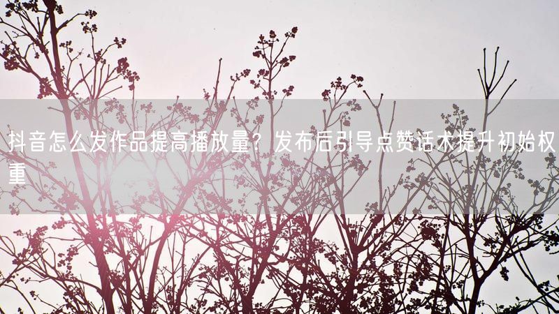 抖音怎么发作品提高播放量？发布后引导点赞话术提升初始权重
