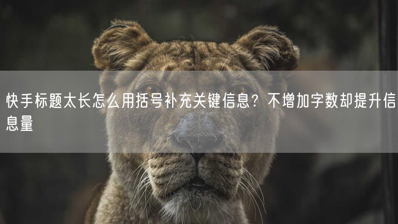 快手标题太长怎么用括号补充关键信息？不增加字数却提升信息量