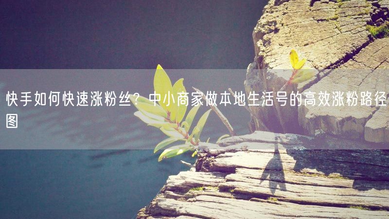 快手如何快速涨粉丝？中小商家做本地生活号的高效涨粉路径图