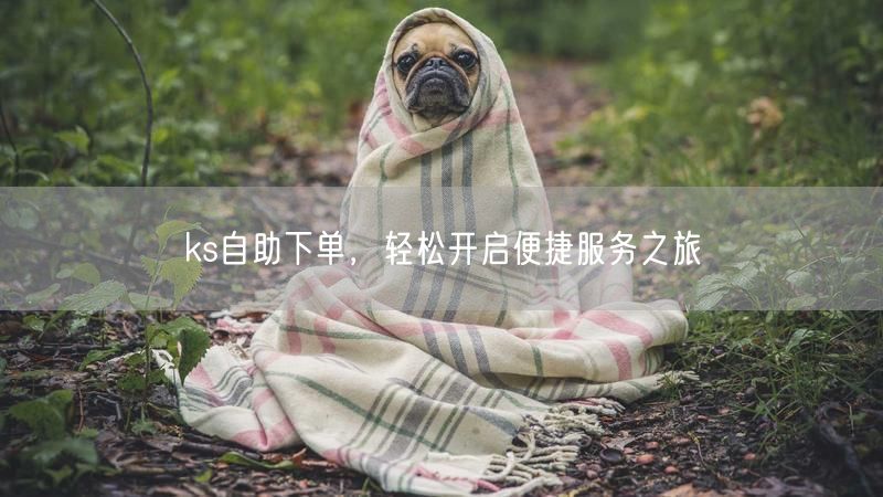 ks自助下单，轻松开启便捷服务之旅