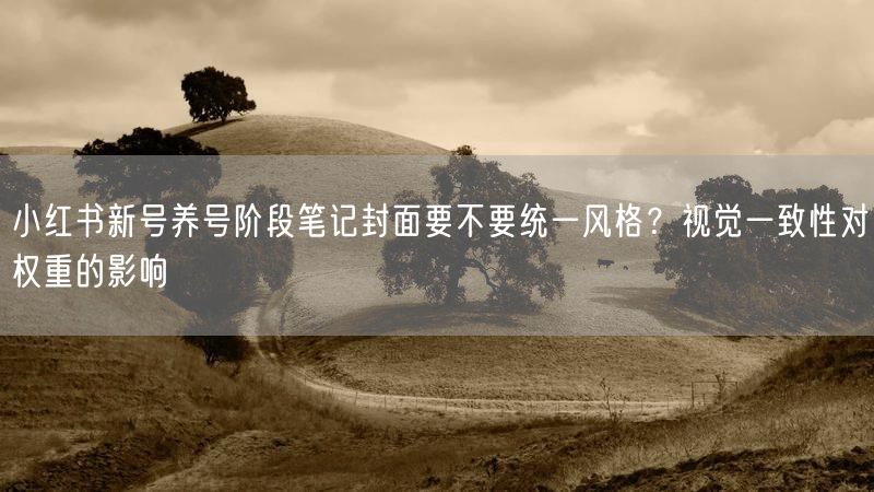 小红书新号养号阶段笔记封面要不要统一风格？视觉一致性对权重的影响