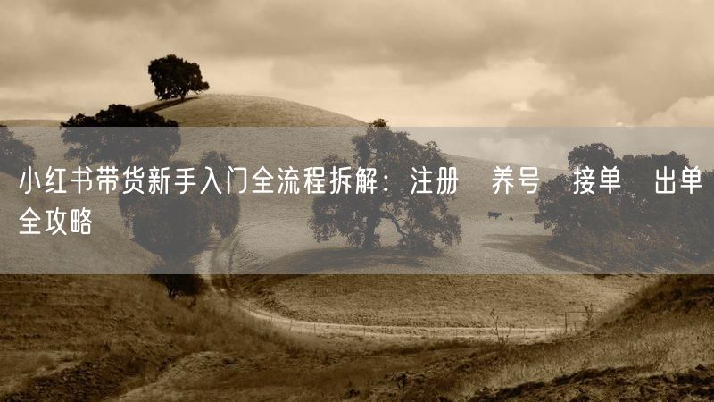 小红书带货新手入门全流程拆解：注册→养号→接单→出单全攻略