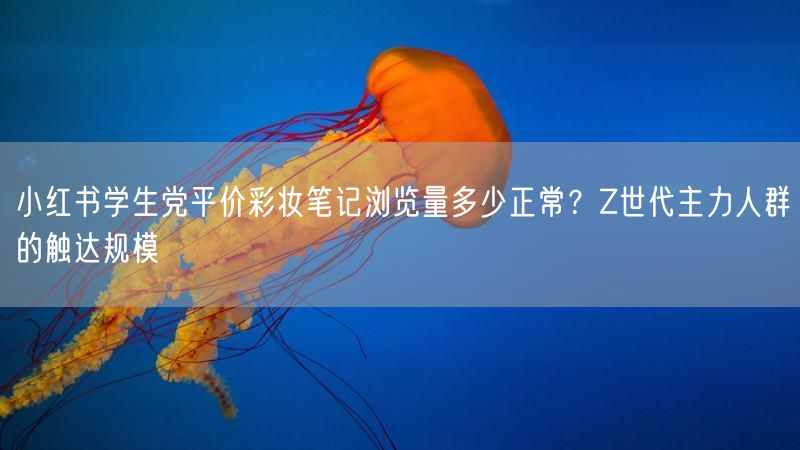 小红书学生党平价彩妆笔记浏览量多少正常？Z世代主力人群的触达