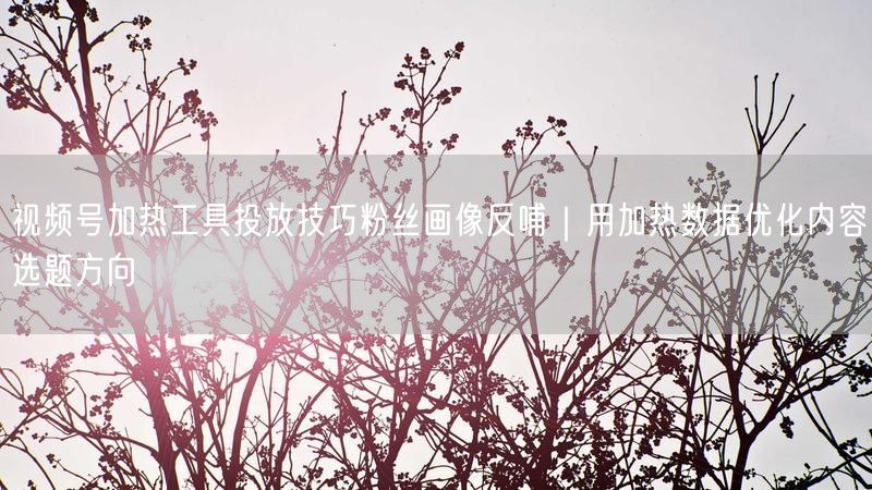 视频号加热工具投放技巧粉丝画像反哺｜用加热数据优化内容选题方向