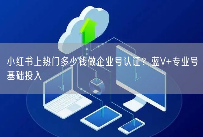 小红书上热门多少钱做企业号认证？蓝V+专业号基础投入