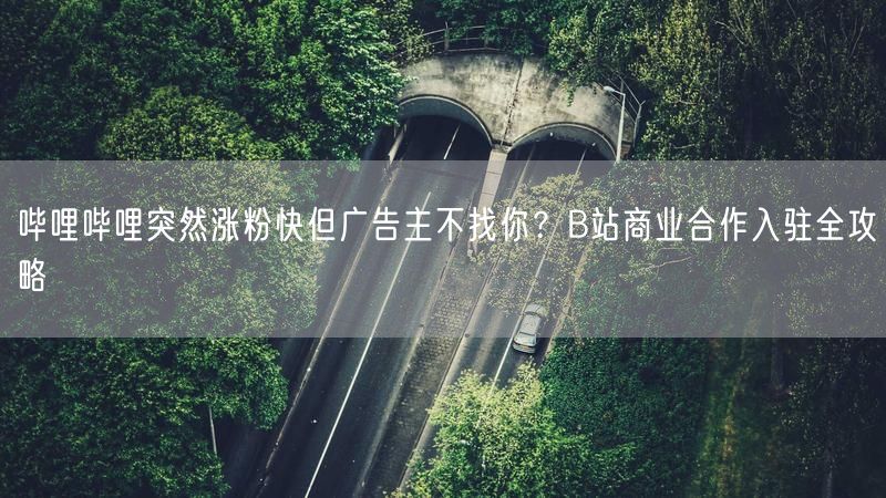 哔哩哔哩突然涨粉快但广告主不找你？B站商业合作入驻全攻略