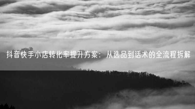 抖音快手小店转化率提升方案：从选品到话术的全流程拆解