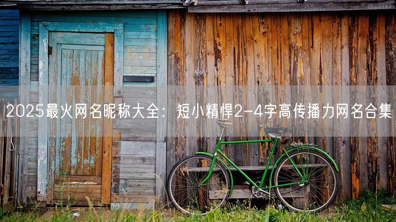 2025最火网名昵称大全：短小精悍2-4字高传播力网名合集
