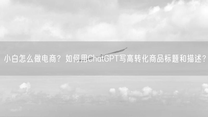 小白怎么做电商？如何用ChatGPT写高转化商品标题和描述？