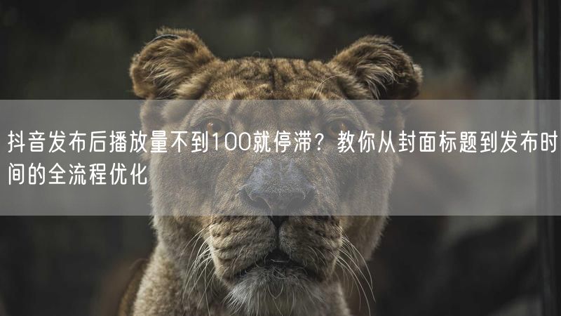 抖音发布后播放量不到100就停滞？教你从封面标题到发布时间的