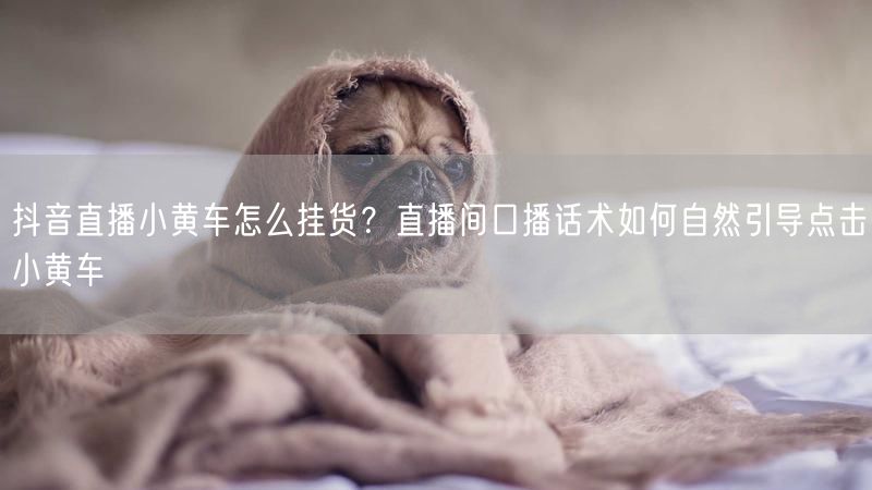 抖音直播小黄车怎么挂货?直播间口播话术如何自然引导点击小黄车