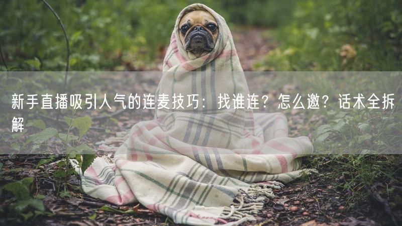 新手直播吸引人气的连麦技巧:找谁连?怎么邀?话术全拆解