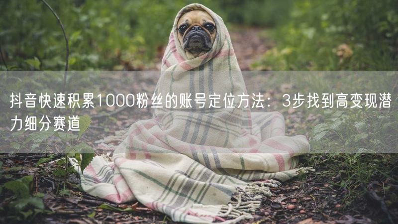抖音快速积累1000粉丝的账号定位方法:3步找到高变现潜力细