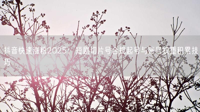 抖音快速涨粉2025:短剧切片号合规起号与账号权重积累技巧