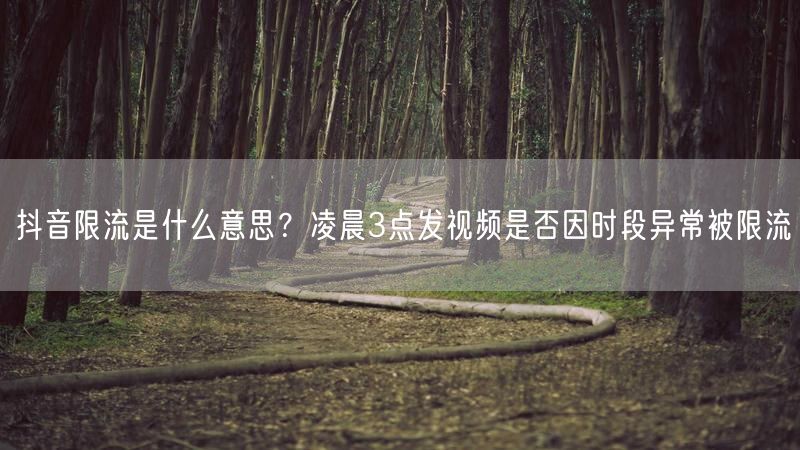 抖音限流是什么意思?凌晨3点发视频是否因时段异常被限流
