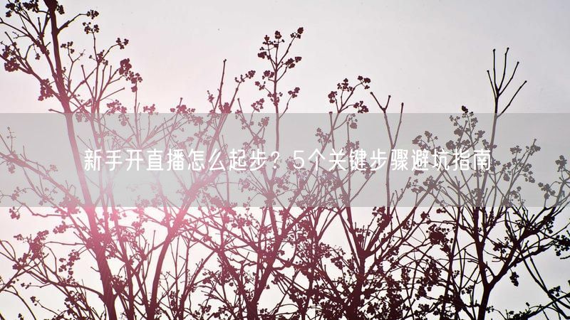 新手开直播怎么起步？5个关键步骤避坑指南